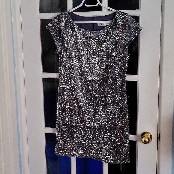 Elisa J women's sequin velvet sheath dress jewelry neck cap size 12 P or L grey - Picture 7 of 8